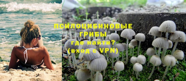 jwh Лиски