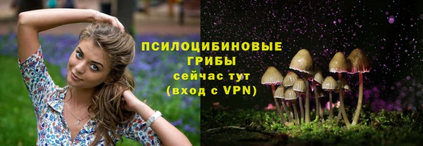mdpv Липки