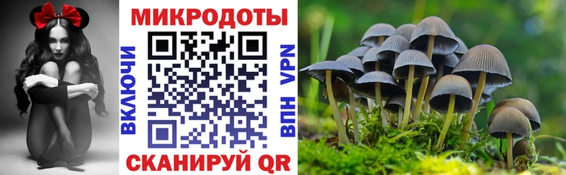 OMG tor  Усть-Илимск  Галлюциногенные грибы мухоморы 