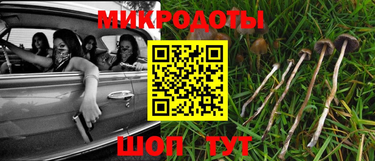 Галлюциногенные грибы ЛСД  Вход с VPN  Усть-Илимск  Галлюциногенные грибы прущие грибы 