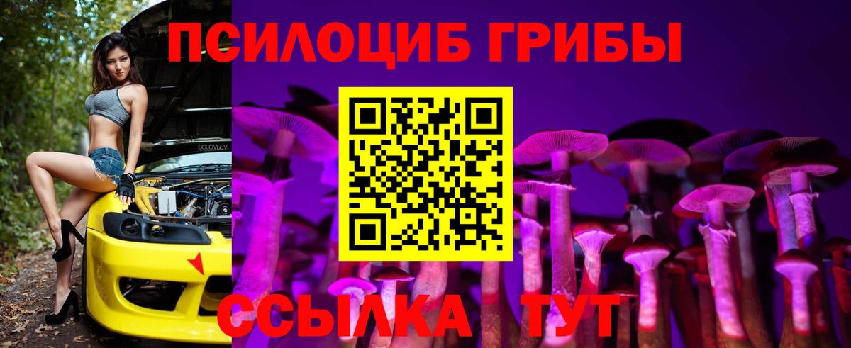 Галлюциногенные грибы MAGIC MUSHROOMS  Псилоцибиновые грибы Psilocybine cubensis  Усть-Илимск 